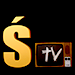 stvlogo